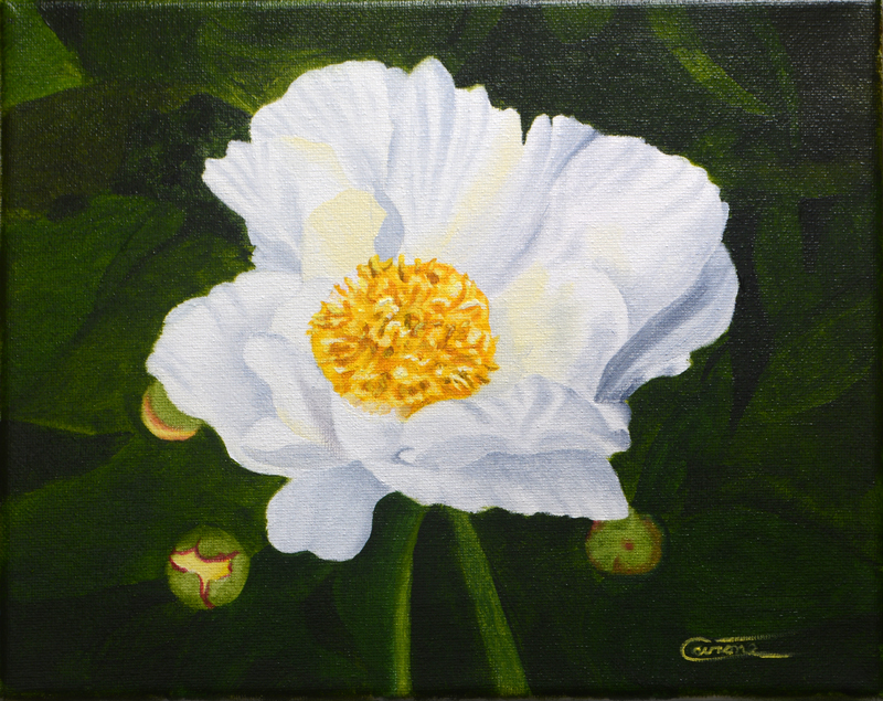 Painting of a peony flower