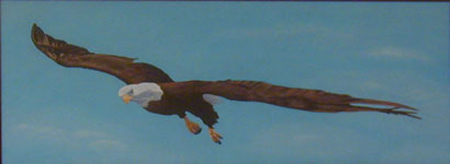 Eagle at altitude